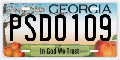 GA license plate PSD0109