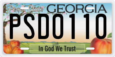 GA license plate PSD0110