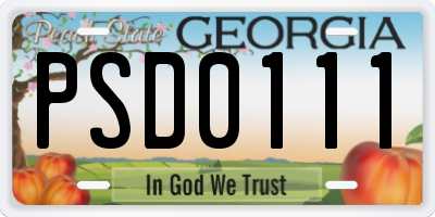 GA license plate PSD0111