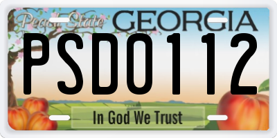 GA license plate PSD0112