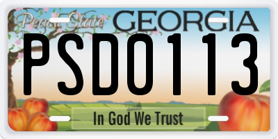 GA license plate PSD0113