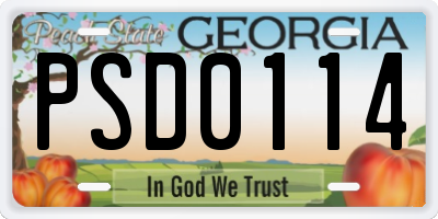 GA license plate PSD0114