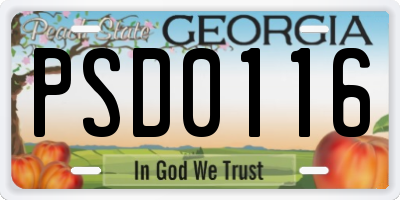 GA license plate PSD0116