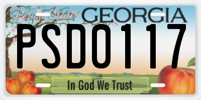GA license plate PSD0117
