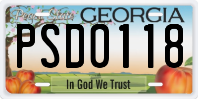 GA license plate PSD0118