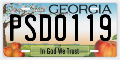 GA license plate PSD0119