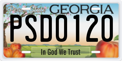 GA license plate PSD0120