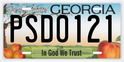 GA license plate PSD0121