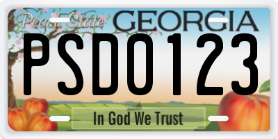 GA license plate PSD0123