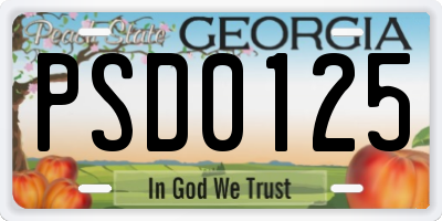 GA license plate PSD0125