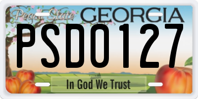 GA license plate PSD0127