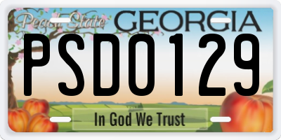 GA license plate PSD0129