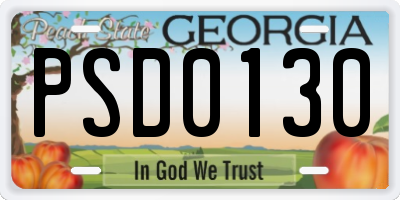 GA license plate PSD0130