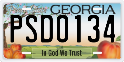 GA license plate PSD0134