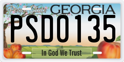 GA license plate PSD0135