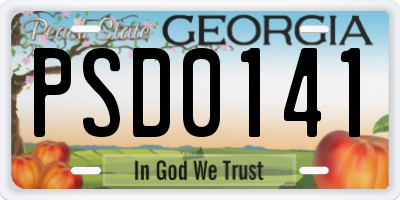 GA license plate PSD0141