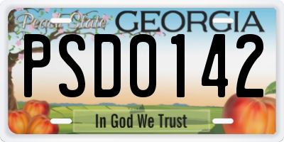 GA license plate PSD0142