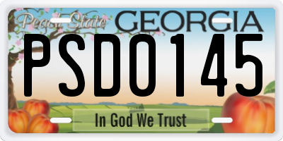 GA license plate PSD0145