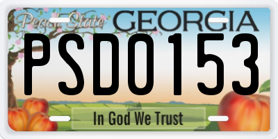 GA license plate PSD0153