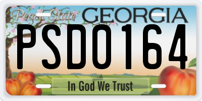 GA license plate PSD0164
