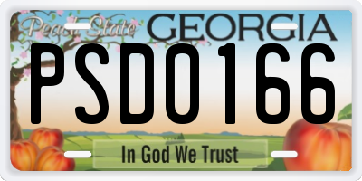 GA license plate PSD0166
