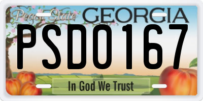 GA license plate PSD0167