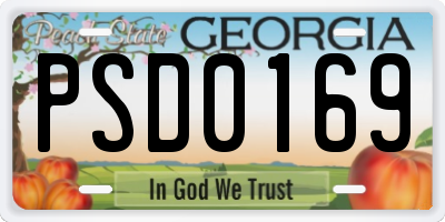 GA license plate PSD0169