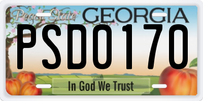 GA license plate PSD0170