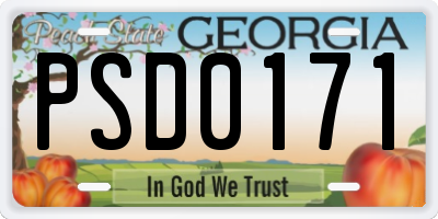 GA license plate PSD0171