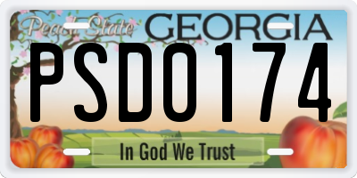GA license plate PSD0174