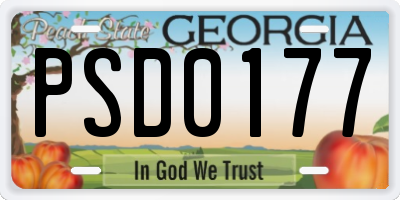 GA license plate PSD0177