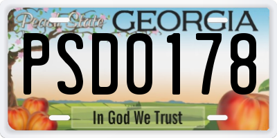 GA license plate PSD0178