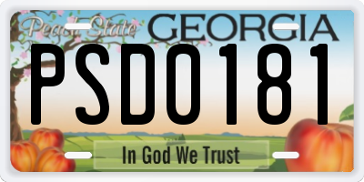 GA license plate PSD0181
