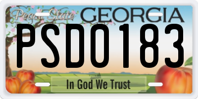 GA license plate PSD0183