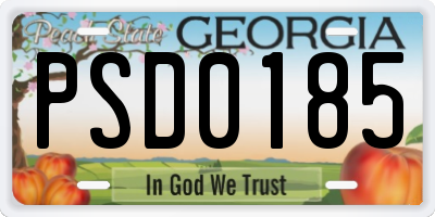 GA license plate PSD0185