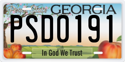 GA license plate PSD0191