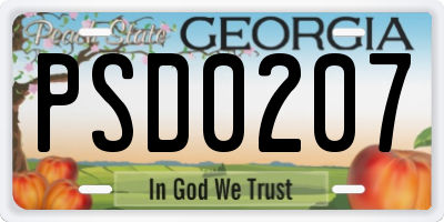 GA license plate PSD0207