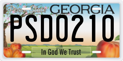 GA license plate PSD0210