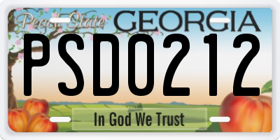 GA license plate PSD0212