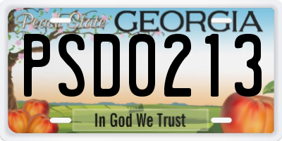 GA license plate PSD0213