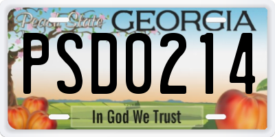 GA license plate PSD0214