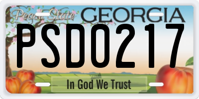 GA license plate PSD0217