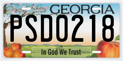 GA license plate PSD0218