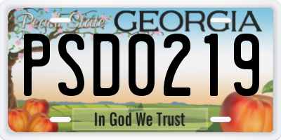 GA license plate PSD0219