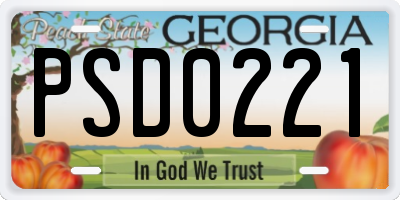 GA license plate PSD0221