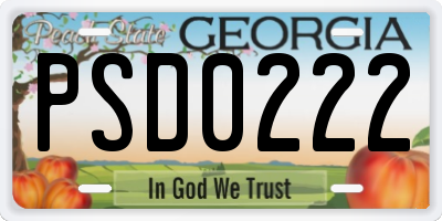 GA license plate PSD0222