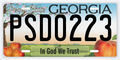 GA license plate PSD0223