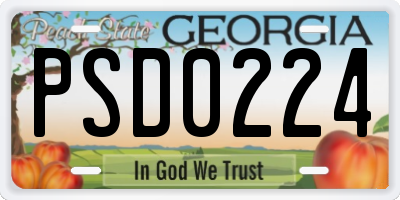 GA license plate PSD0224