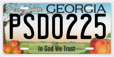GA license plate PSD0225