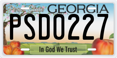 GA license plate PSD0227
